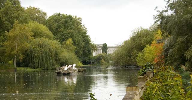 The Queen's residence, Buckingham Palace, is seen from St James's Park. There is a long stretch of water and bridges and paths which lead down to the Palace.