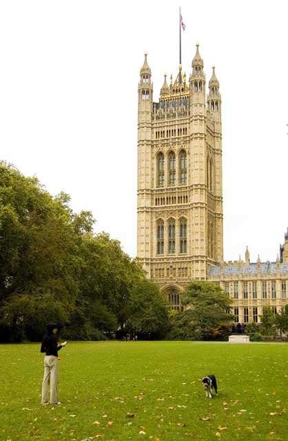 The tall Victoria Tower dominates the picture as it is seen from the grassy space of Victoria Gardens. In the foreground a woman exercises her dog.