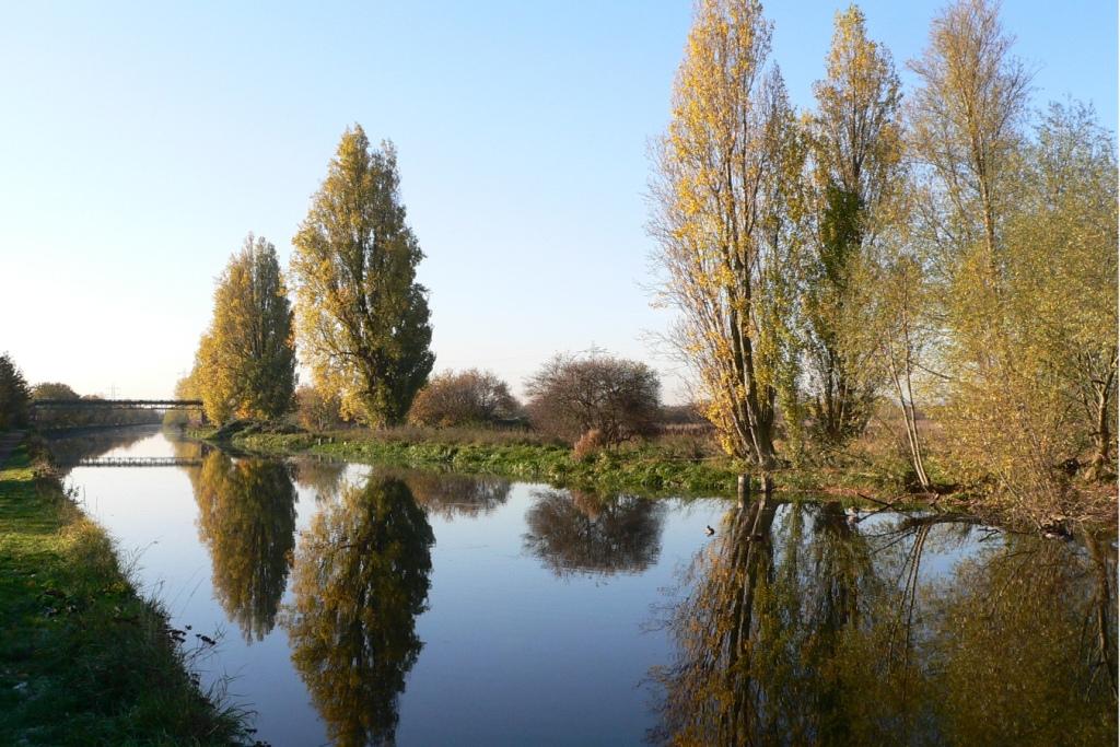 The water in the pools at Tottenham Marches reflect the green and yellow of the willow trees around them. 